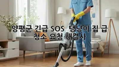 양평군 긴급 SOS! 🐶🐱 댕냥이 집 급 청소 요청 해결사 🧹✨