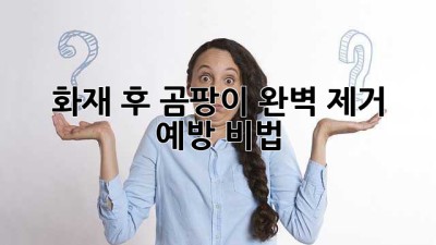 화재 후 곰팡이, 완벽 제거 & 예방 비법🔥🍄